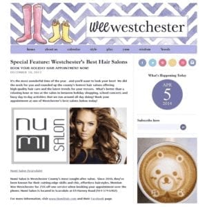 Wee Westchester Special Feature Westchester's Best Hair Salons