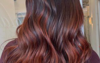 Dark Auburn and Chestnut Hair Tones
