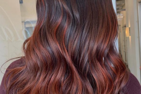 Dark Auburn and Chestnut Hair Tones